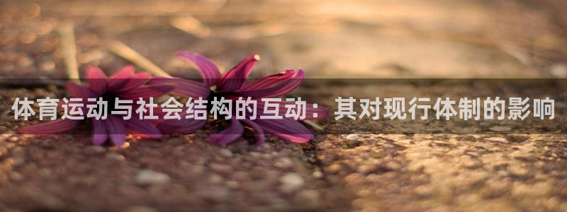 球新体育