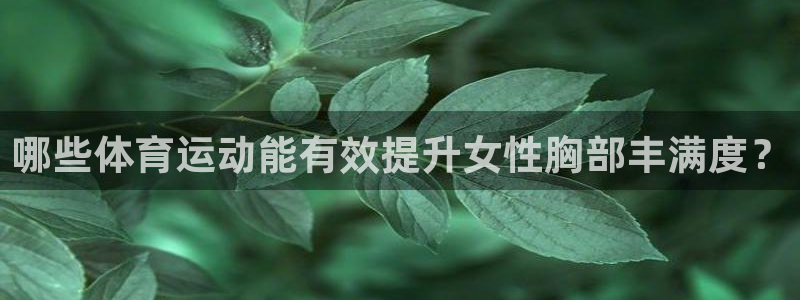 球新体育