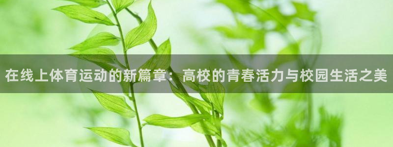 球新体育