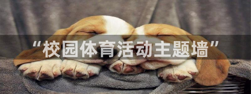 关键词：“校园体育活动主题墙”