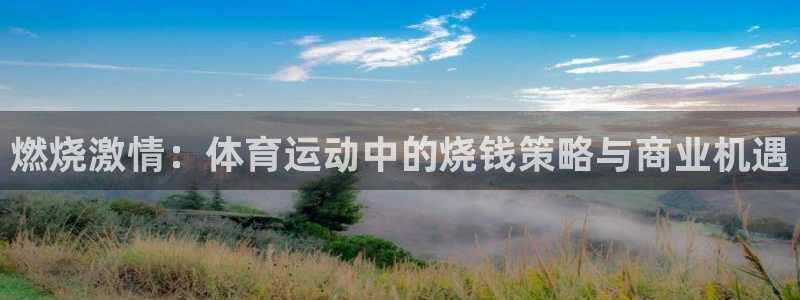 关键词：燃烧激情：体育运动中的烧钱策略与商业机遇