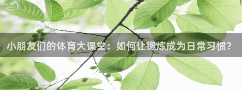 球新体育