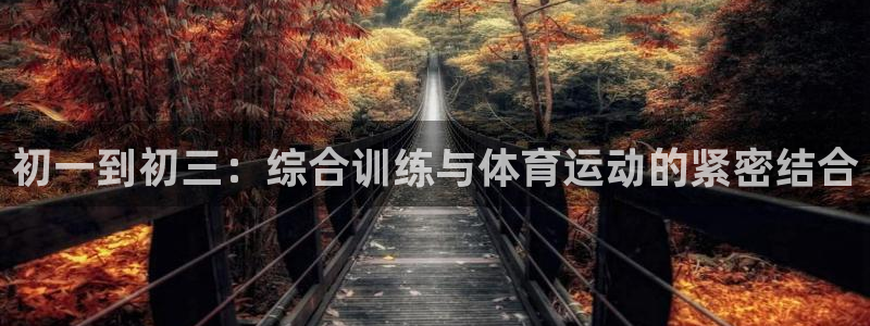 关键词